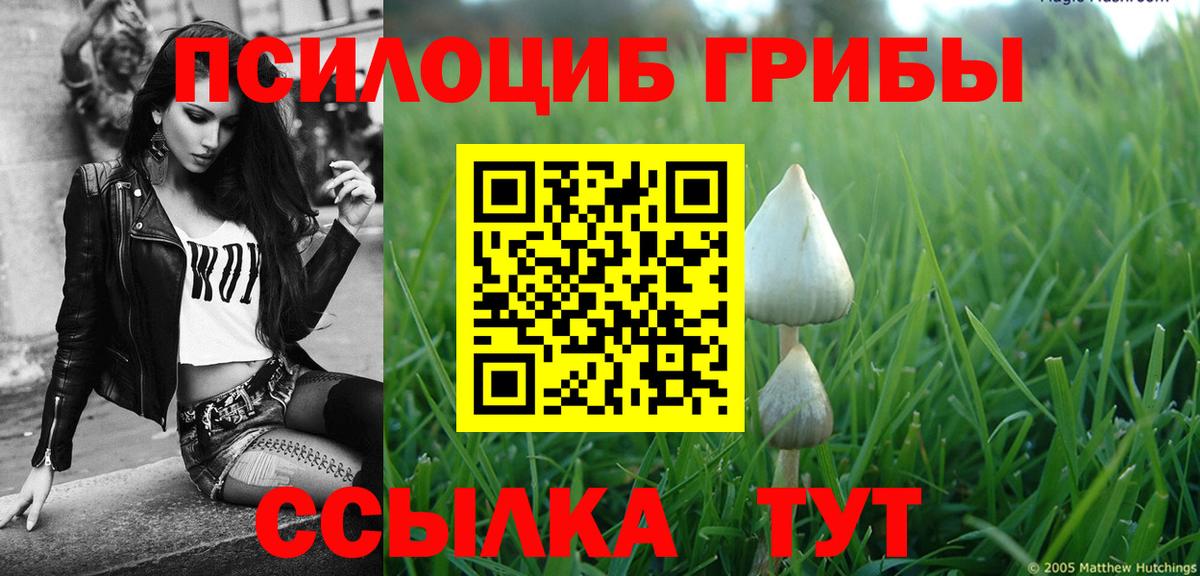 Псилоцибиновые грибы Cubensis  Вход с VPN  купить наркотик  Междуреченск 